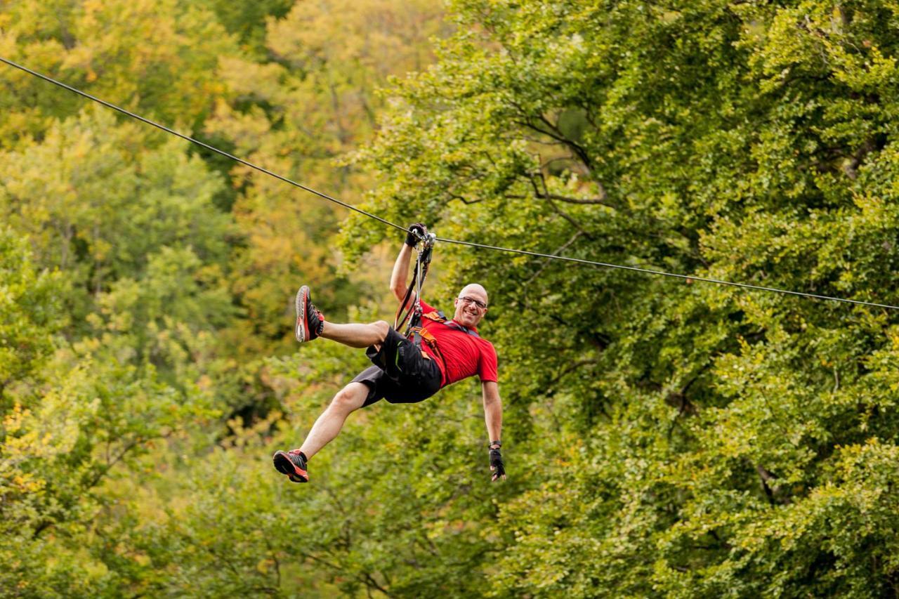 Appartementhaus Eifeladventures Berlingen Dış mekan fotoğraf