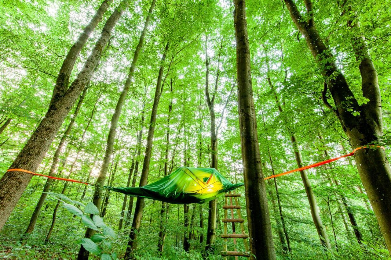 Appartementhaus Eifeladventures Berlingen Dış mekan fotoğraf