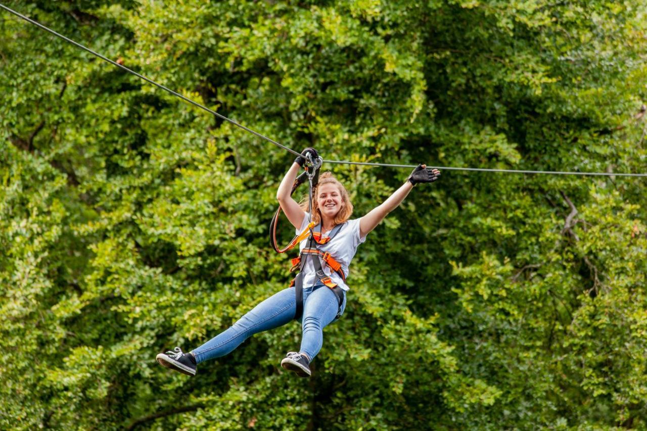 Appartementhaus Eifeladventures Berlingen Dış mekan fotoğraf